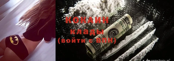хмурый Няндома